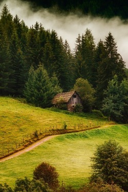 0rient-express:  Forest cottage | by Andy 58. 