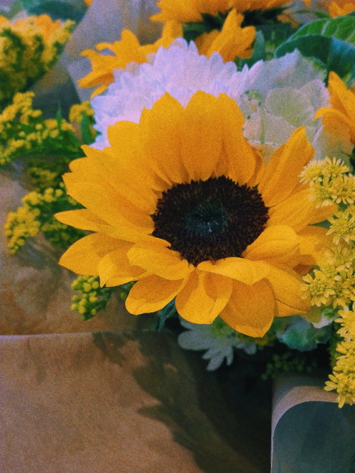 Sunflower.