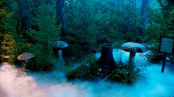 sun-moon–truth:Ouat meme :[2/3] World/Locations: Wonderland (OUATIW)