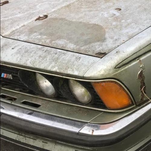 1985 BMW M635 CSi. Sinister Sunday, part XXXVIII: Dawn of the Dead. A friend found this remnant som
