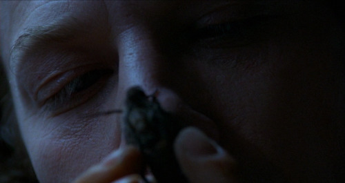 “Well, Clarice - Have The Lambs Stopped Screaming?” 