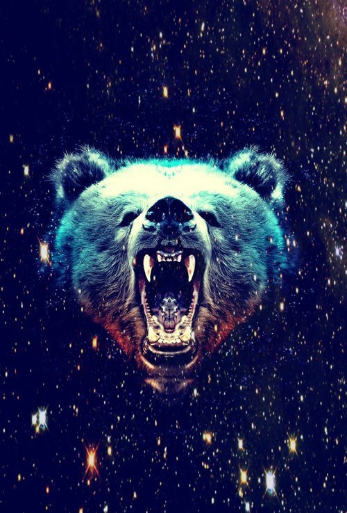 I&rsquo;m a bear here me roar