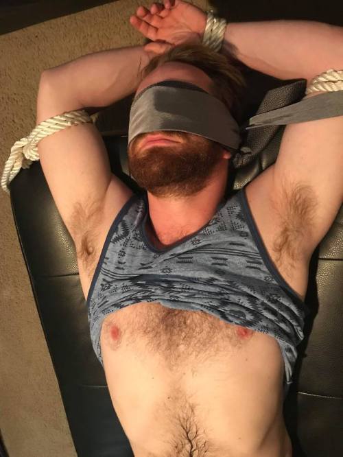 thelustfactor:  Got a little tied up the porn pictures