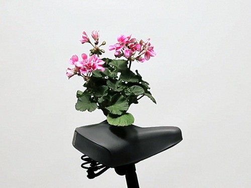 unconsumption:junkculture:Campaign Aims to Turn Abandoned Bicycles’ Saddles into Outdoor Planter