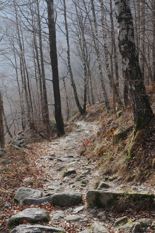 Porn along-my-way:  Hiking in winter time, Italian photos