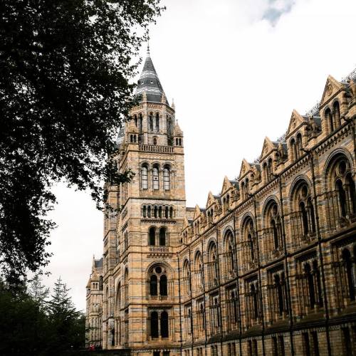 There&rsquo;s always something to #explore in #SouthKensington. #London #MuseumofNaturalHistory 