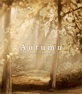 zireza:  🍂 A u t u m n : A New Beginning 🍂 “Steam rising underneath a canopy