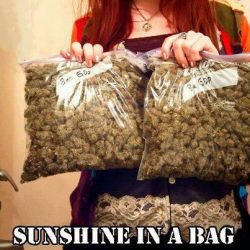 kushinmyblunts:  Grow BOMB ASS Weed | Kush in my Blunts ALL SOURCES: THC Finder | BnB | 420 | Marijuana | Weed Palace |