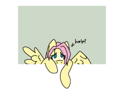 cocoa-bean-loves-fluttershy:  Hang in there,