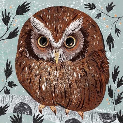 Everyone enjoying the Superb Owl tonight? #superbowl #owl #owlart #illustratorsofinstagram #illustra