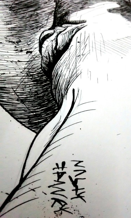 THIS IS NOT inkTOBER, COÑO! !! ! hangingonthenastytelephone.tumblr.comwww.instagram.com/nasty