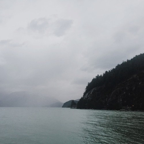 vhord:  courtmoly:  This was okay.  strictly nature