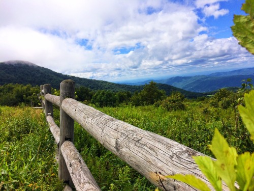 blazingyeti:Quick Day Hike. Roan Highlands, Hump Mnt.