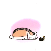 antheise: Natsume Yuujinchou Roku → Nyanko-sensei + breaks (^・ω・^ ) 