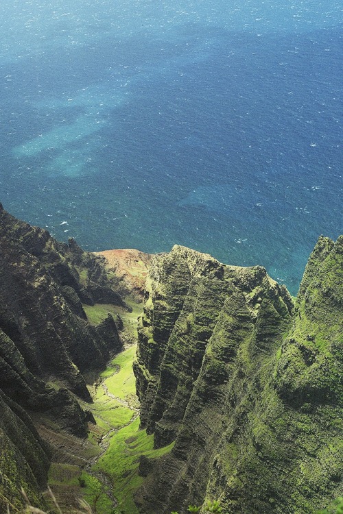 ivvvoo: Untitled by @diegodossantos