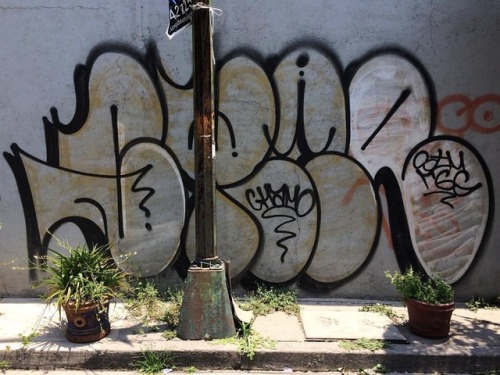 CINED #cined #sined #graffiti #graffitibombing #street #activelifestyle #streetactivelifestyle #sigu