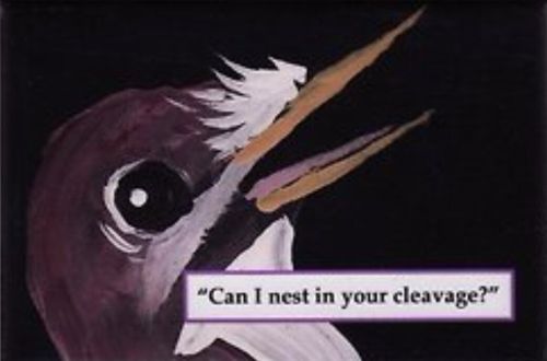 Hozier Songs As Troubled Bird Memes