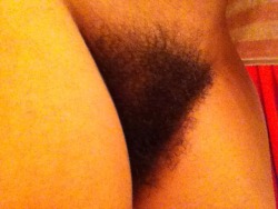 nevershaveyourbush:  Hey bush lovers. Just wanted to post a picture of my girlfriends hairy bush this morning. I’ll just be posting pictures of her now instead of reblogging. I feel I Reblog to much. If you want to see more amazing bushes follow me