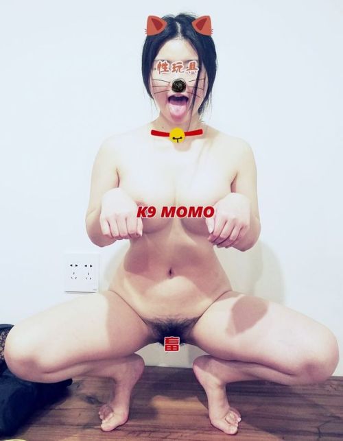 petgirlclub:站好