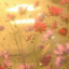 040408064