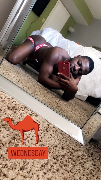 lulavery:  infamous-t3:  🐪  😍😩