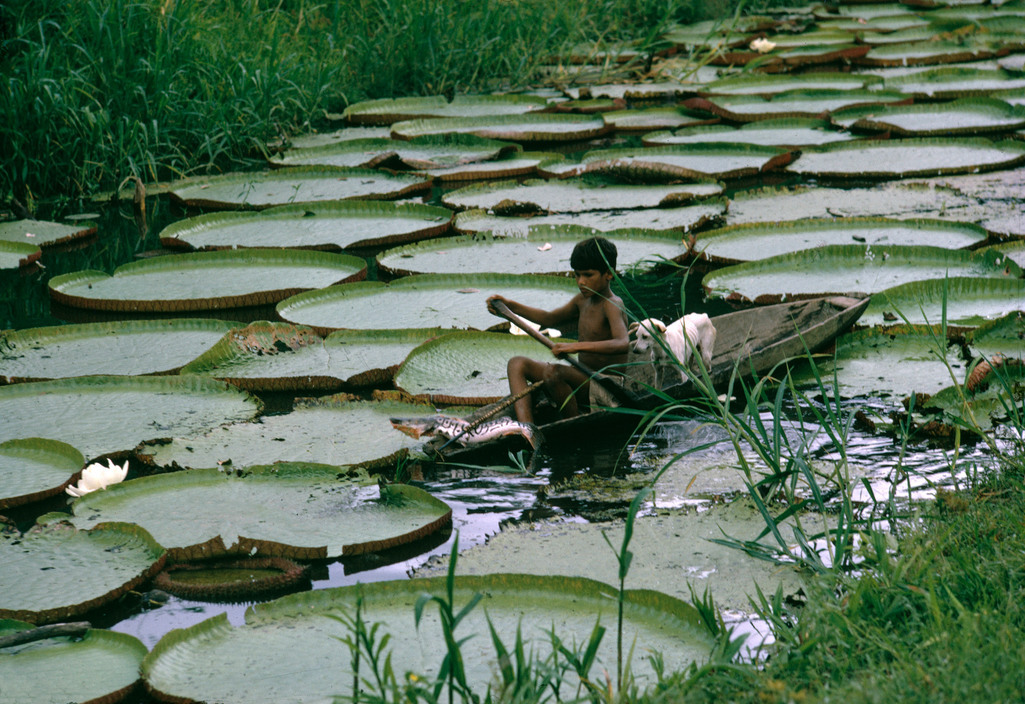 africansouljah:  Bruno BarbeyBRAZIL. Amazonas. Amazon river. 1966. 