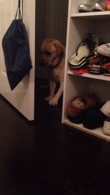 taggedrne:  bubba doesn’t know how to walk through halfway opened doors and accepted his defeat