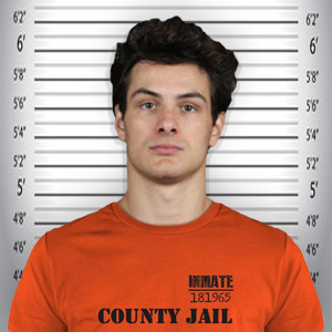 titobeauvillier: titobeauvis:mathew barzal mugshot icons for @titobeauvillier bc his heads