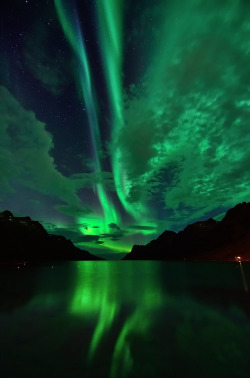 ethereo:  Northern Lights in Ersfjordbotn (by John A.Hemmingsen)