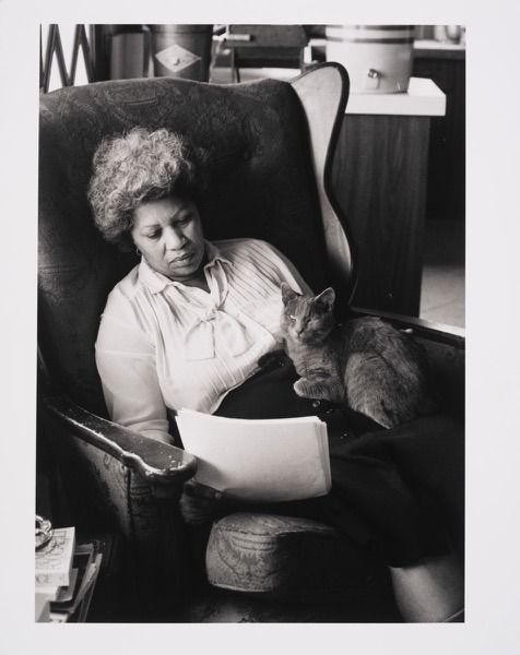 felinepurrrstory:  Toni Morrison at home in 1980. Photographs by Bernard Gotfryd.