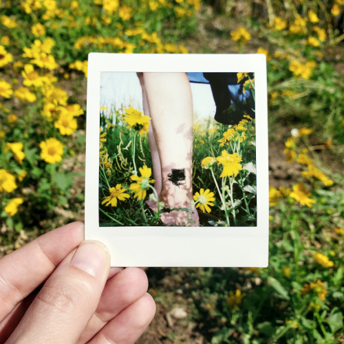 Tattoos, Flowers, & Instant Film (on Instagram) by Marisa Renee : Fujifilm Instax Square SQ1: In