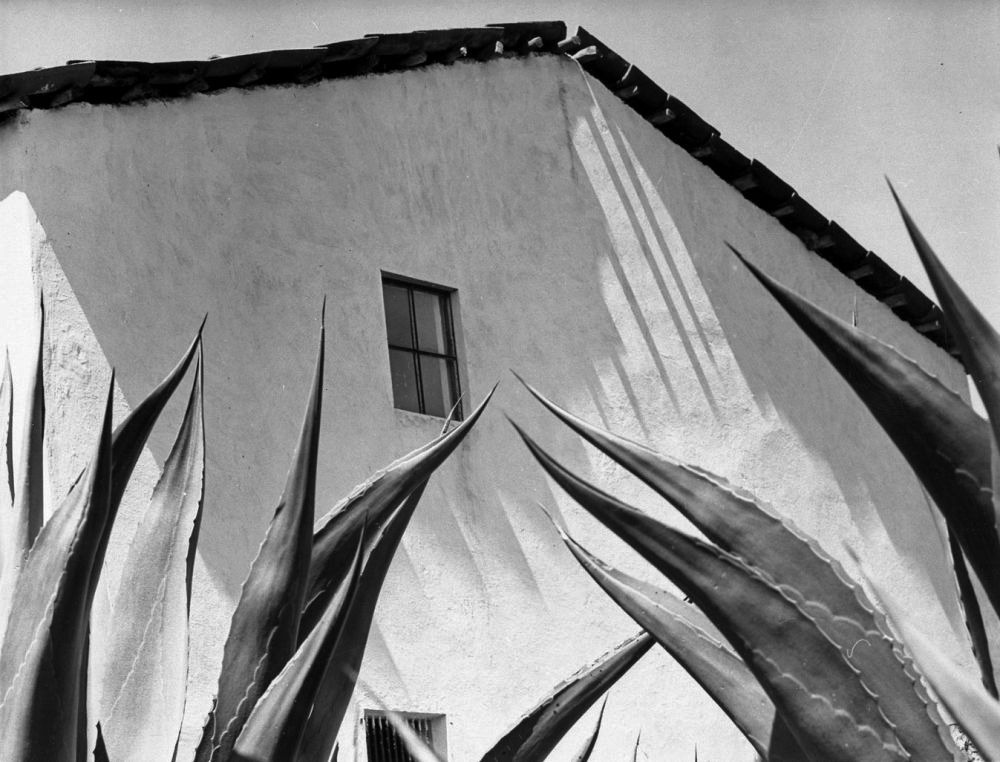 joeinct:  Window to Agaves, Mexico, Photo by Manuel Álvarez Bravo, 1978