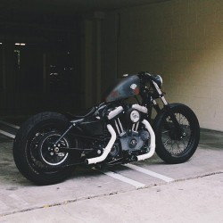 euroaficionado:  Adam Wichmanns Harley.