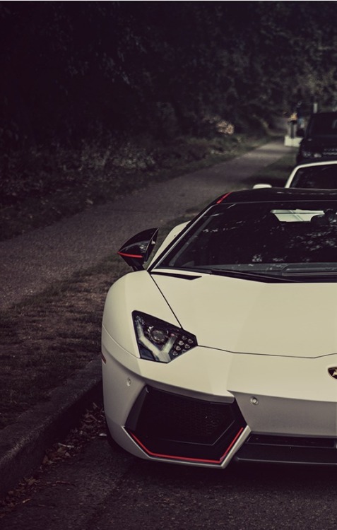 dreamer-garage:  Lamborghini Aventador 