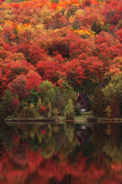 bluepueblo:  Autumn Lake, Quebec, Canada photo via besttravelphotos