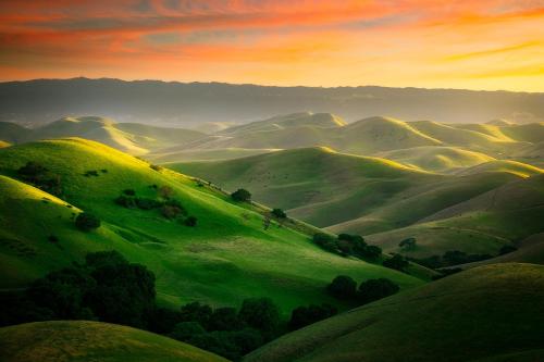 amazinglybeautifulphotography:  The hills are still alive in the East Bay, CA [OC] [2048x1365] - Author: MistaKimsta on reddit