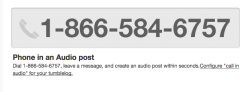 buttonduck:  LIFE HACK: you can now drunk dial ur own blog [configure here]