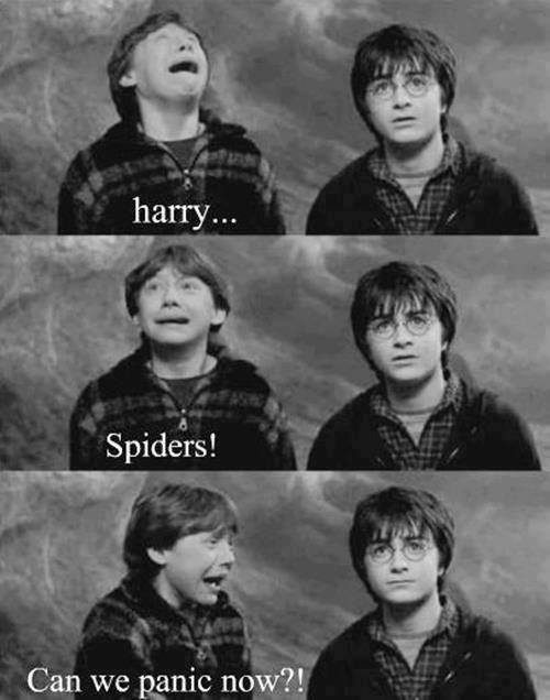wishingtowonderland: H-Harry… | via Facebook on @weheartit.com - whrt.it/14g27A7