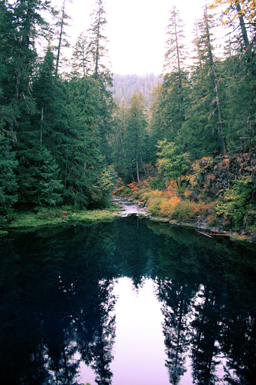 intothegreatunknown:Blue Pool | Tamolitch Pool, Oregon (by CleanCletus)