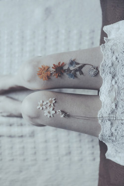 notesofautumn:  Sleeping flowers by Anna