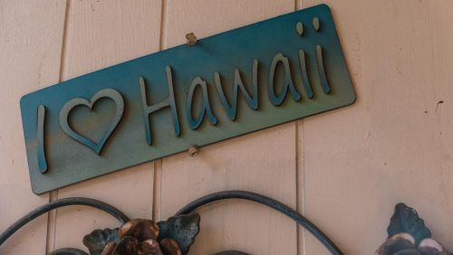  #hawaii #oahu #meow #coolplace #photography #photooftheday #pictureoftheday #oahuphotographer #oahu