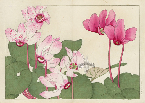 wafflowers:Tanigami Konan woodblock prints