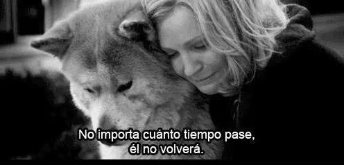 mimentemiuniverso:  Hachiko ♥♥♥ 