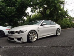 The Bimmer Blog