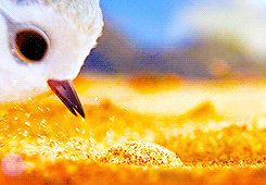 musicalhog:Piper + those sand particles though