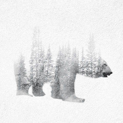 crossconnectmag:Animated Double Exposure Images  using Cinemagraph by Said Dagdeviren Double Exposur
