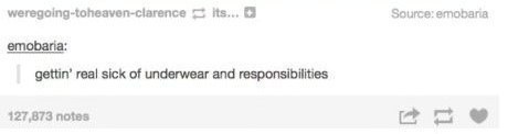 advice-animal:  Dang it, underwear!advice-animal.tumblr.com   Agreed.