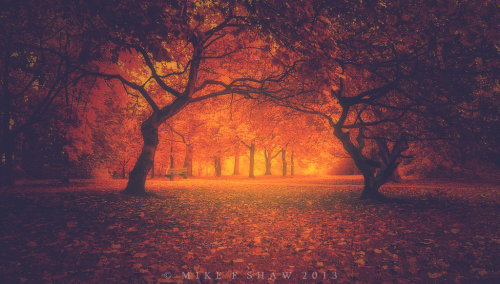 Porn photo dailyautumn:  I Waited by ~MikeShawPhotography