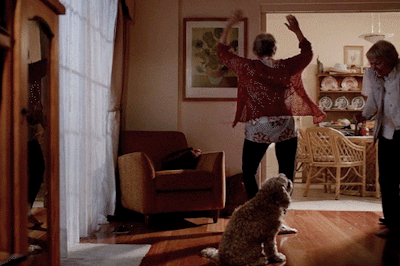48dbc538c27e2c9fce668cb19f862c550e0c5a52.gifv