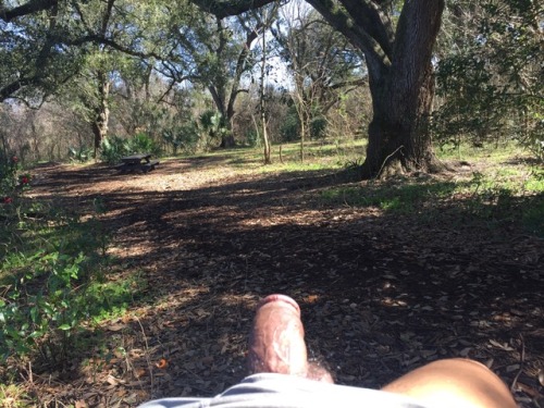 bulgewatcher504:  Beautiful day in the park